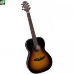Guitar Takamine EG416S-VS