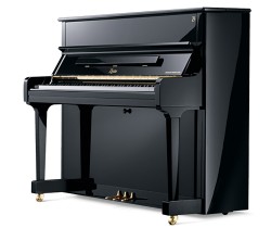 Piano Boston UP-118E PE