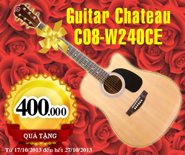 dan guitar Chateau C08-W240CE