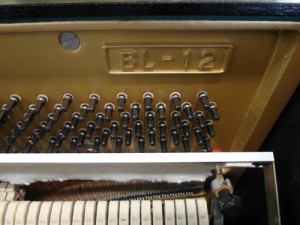 kí hiệu đàn piano Kawai BL12