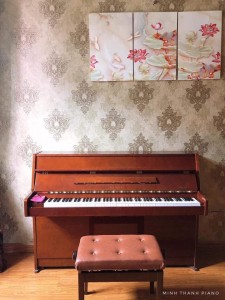piano cơ tại minhthanhpiano