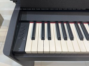 ĐÀN PIANO ĐIỆN ROLAND F107 GIÁ BAO NHIÊU
