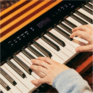 giá đàn piano điện Casio PX-S3100